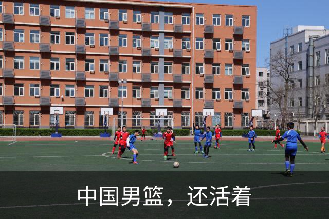 中国男篮，还活着