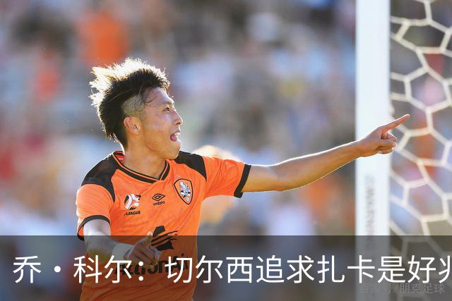 乔·科尔：切尔西追求扎卡是好兆头 库库鼓动恩佐转会我无法接受