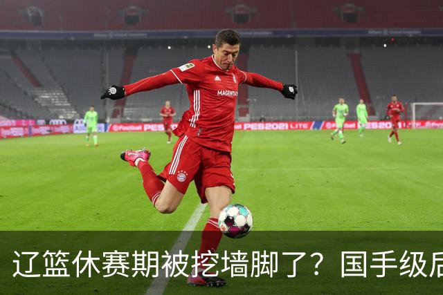 辽篮休赛期被挖墙脚了？国手级后卫恐被交易：变相逼着赵继伟走人
